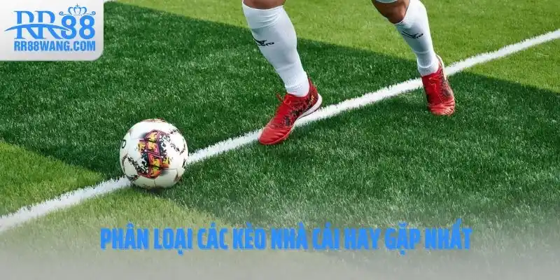 Phân loại các kèo nhà cái hay gặp nhất